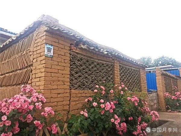 月季惊艳绽放 美丽乡村成旅游景点(图3)